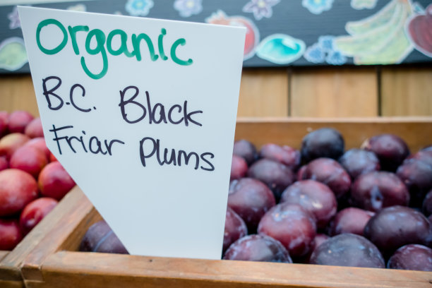 黑李子图片下载