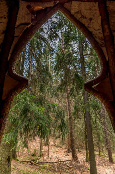 透过一个拱形的窗户可以看到林地里的树木图片下载