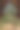 透过一个拱形的窗户可以看到林地里的树木图片下载