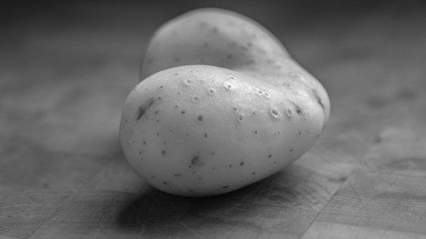黑白色心形生土豆特写图片下载