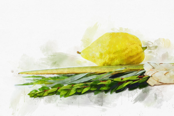 犹太住棚节的水彩画风格和抽象形象。传统符号(四种):Etrog, lulav, hadas, arava图片下载