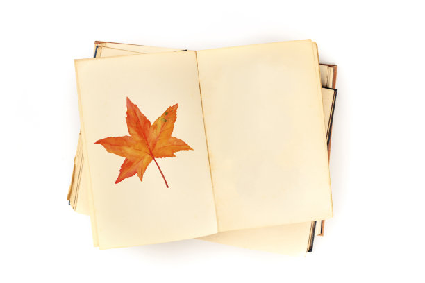秋天的设计模板。一本开放的植物学杂志，上面画着秋叶的水彩画。一本关于自然研究的书的模型，从顶部拍摄在一个白色的背景上有一个地方为文本图片下载