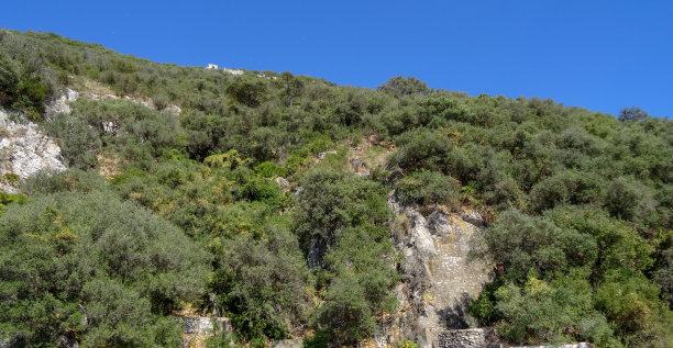 直布罗陀是欧洲南部一个美丽的地方图片下载