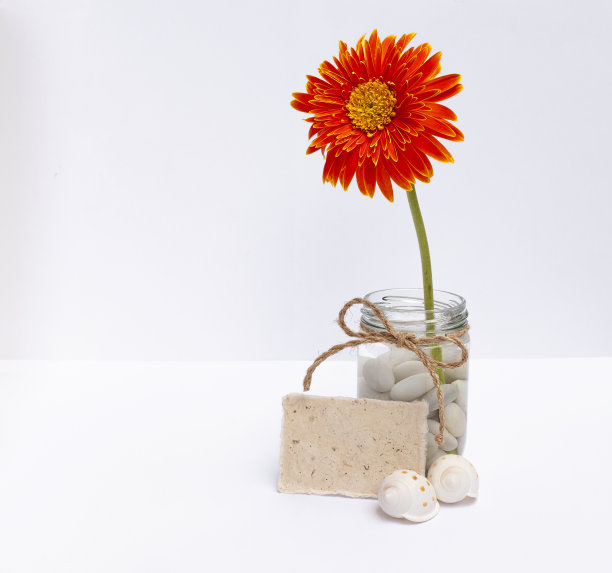 彩色花朵玻璃花瓶与空白自然纹理纸卡图片下载