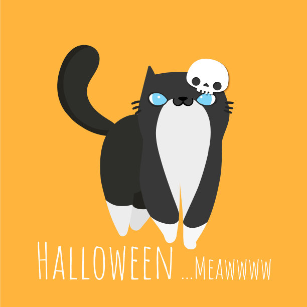 可爱的猫图片下载