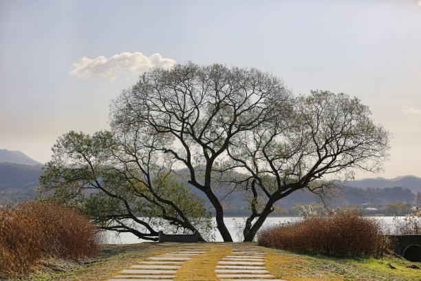 秋天河畔图片下载