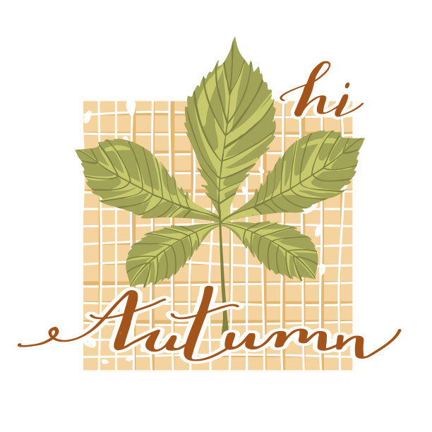秋天的心情。时尚的排版口号设计“嗨秋天”标志。带有格子背景和字母的栗叶。图片下载