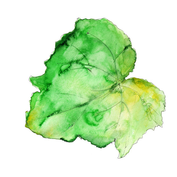 水彩手绘艺术多彩的收获感恩节秋季复古元素孤立的白色图片下载