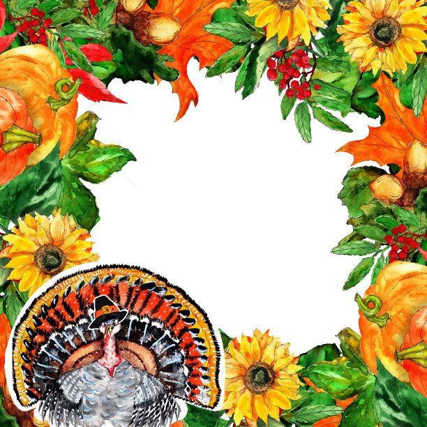 水彩手绘艺术多彩的收获感恩节秋天火鸡鸟复古框花环贺卡模板图片下载