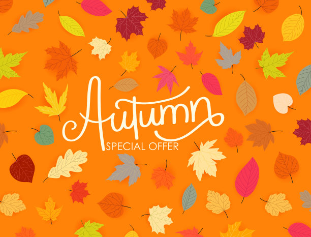 秋天特别优惠价。秋天树叶颜色图片下载