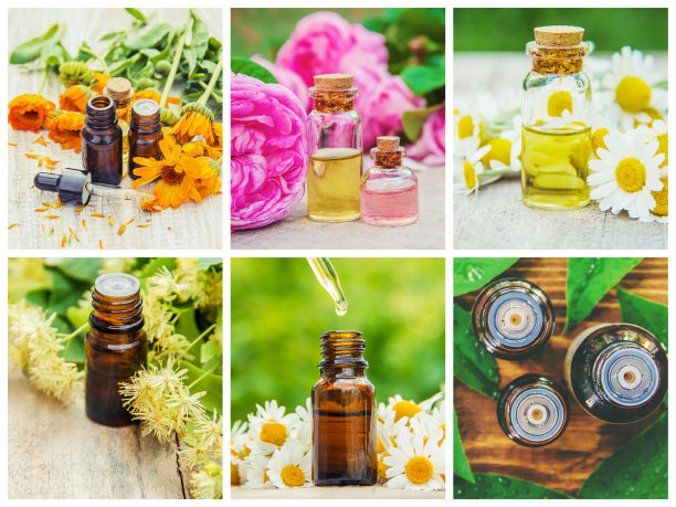 拼贴不同的图片提取的草药。顺势疗法。有选择性的重点。图片下载