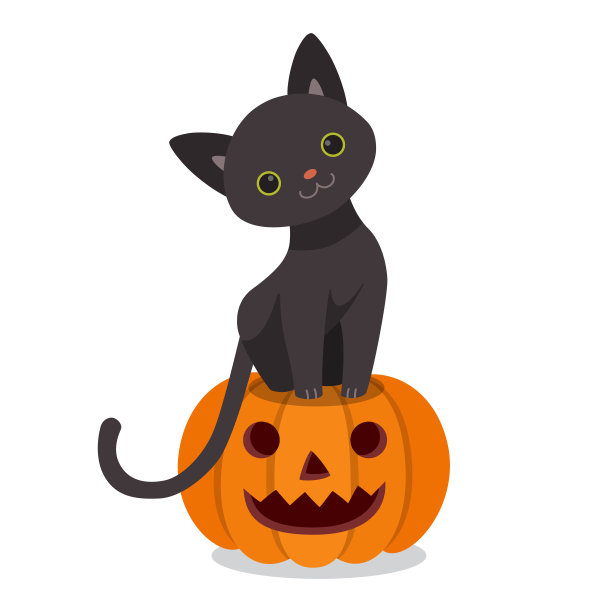 万圣节南瓜上可爱的黑猫图片下载