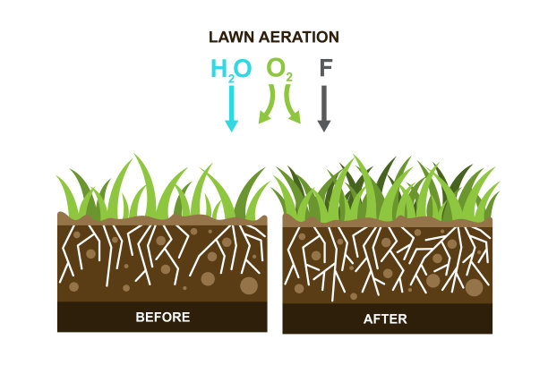 草坪充气矢量插画图片下载