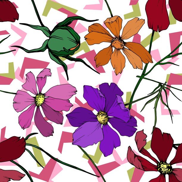 向量宇宙花卉植物花。黑白篆刻水墨艺术。无缝的背景图案。图片下载