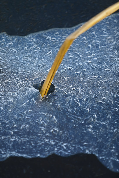 冬天的风景图片下载