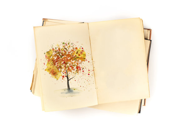 秋天的设计模板。一本开放的植物学杂志，上面画着一棵倒下的树的水彩画。一本关于自然研究的书的模型，从上面的白色背景和复制空间拍摄图片下载