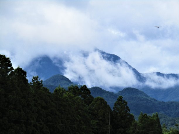 就在雨后。日光国家公园，日本。图片下载