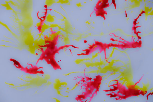 玻璃上丙烯酸漆，抽象背景图片下载