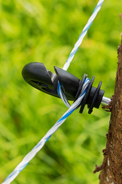 电栅栏黑色支架与白色和蓝色电线 电动栅栏图片下载