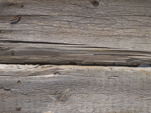 古老的木质纹理与自然的图案图片下载