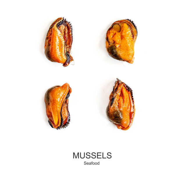 创意的布局，贻贝孤立在白色的背景。海鲜模式图片下载