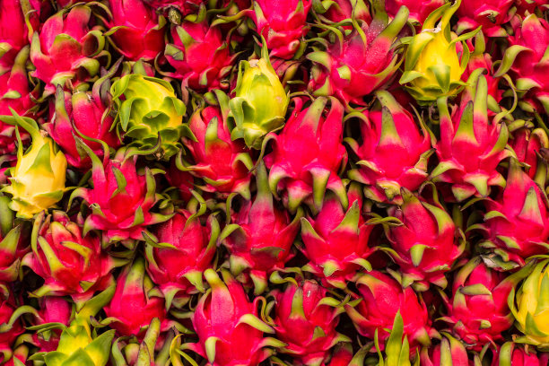 火龙果图片下载