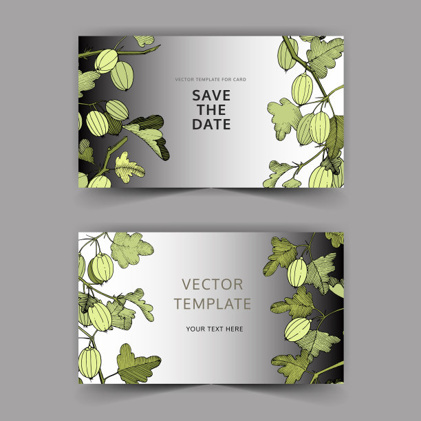 向量醋栗。婚礼背景卡花的边框。谢谢，请回复，邀请图片。艺术雕刻墨水。图片下载