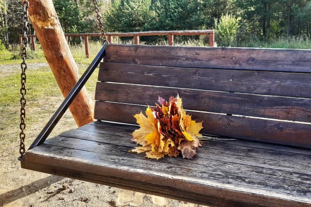 秋天的叶子图片下载