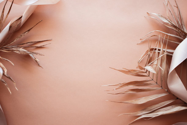 粉红色背景上的热带干叶。特写视图图片下载