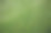 摘要在一个大草坪的背景上生长草。图片下载