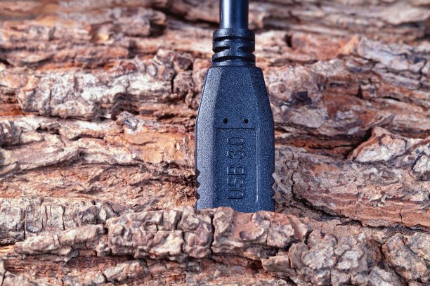 绿色能源理念和可持续资源。一个通用串行总线(USB 3.0)在无缝树皮纹理。树皮的背景图片下载