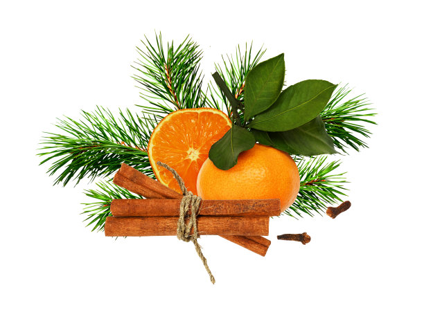 用干橙子、橘子、肉桂、丁香和绿松枝装饰圣诞图片下载
