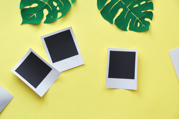 相框模型设计，用三个纸框平铺在黄色背景上，配上奇异的树叶图片下载