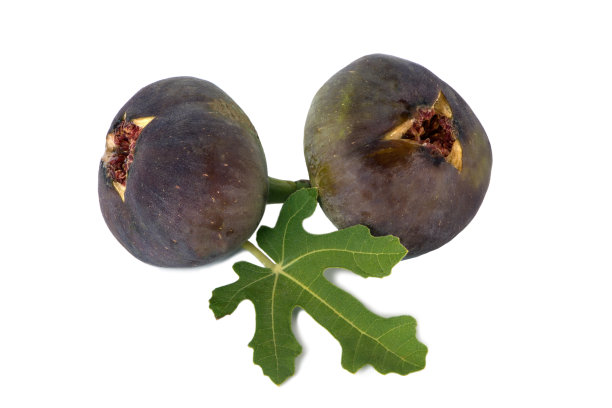 两个新鲜的无花果果实和叶子孤立在白色背景上图片下载