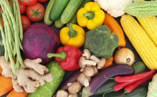 以许多新鲜蔬菜为背景图片下载