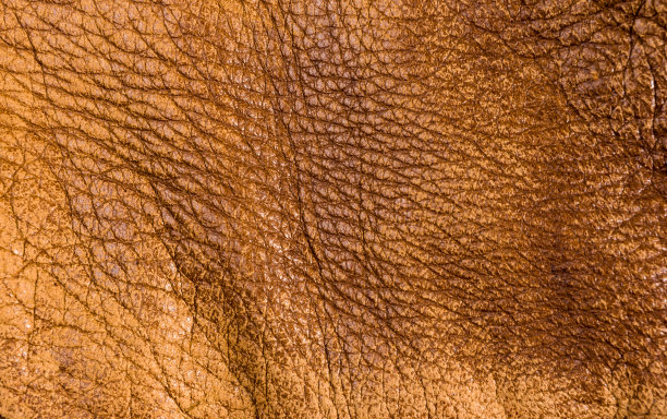 老古董真皮真皮质地柔软背景，顶层有毛孔和划痕，宏观，特写图片下载