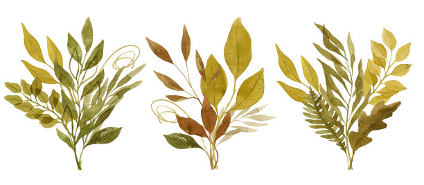 水彩叶花组成图片下载