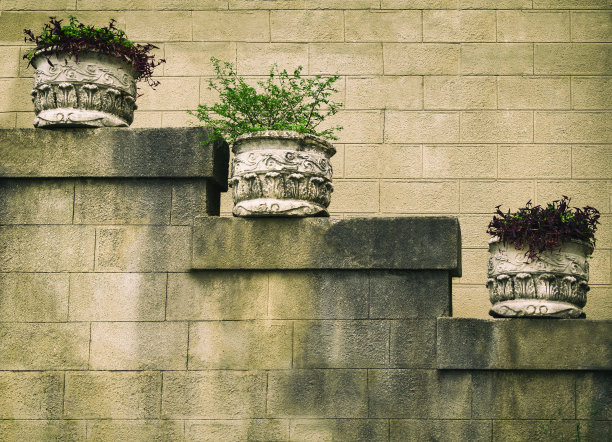 砖墙背景古花盆图片下载