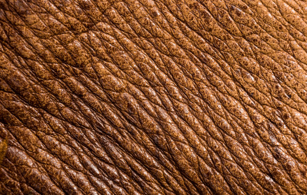 老古董真皮真皮质地柔软背景，顶层有毛孔和划痕，宏观，特写图片下载