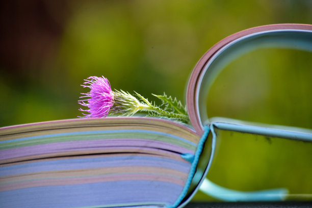 以蓝绿色为背景的彩色书图片下载