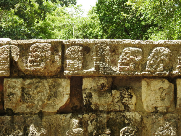 头骨的平台图片下载