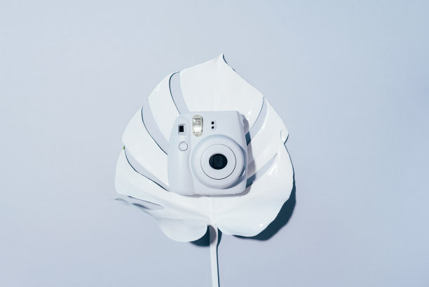 立陶宛维尔纽斯- 2019年9月16日:FUJIFILM INSTAX Mini Instant Film Camera on grey background。图片下载