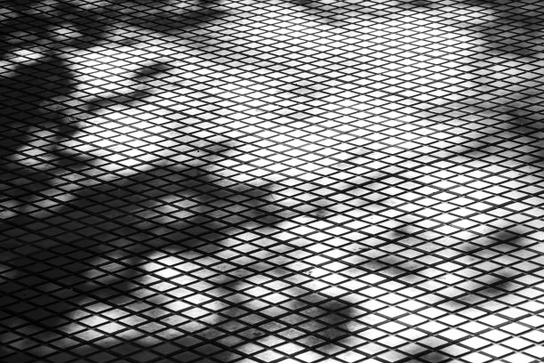 树木的阴影在城市的瓷砖路面上形成了强烈的黑白对比图片下载