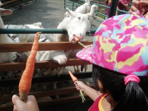 假期与教育图片下载