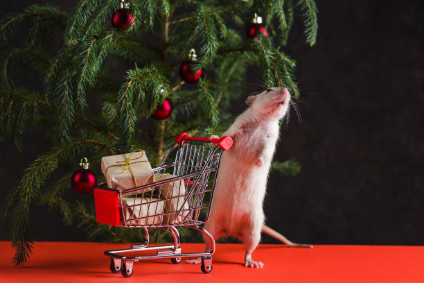 2020年新年快乐。圣诞作文用一只真正的老鼠，一年的象征。购物结束后，一只老鼠站在一棵挂满玩具的圣诞树旁，推着一个装满礼物的手推车图片下载