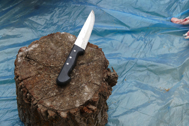 有新鲜的牛肉和刀，大量的肉和屠夫刀，图片下载