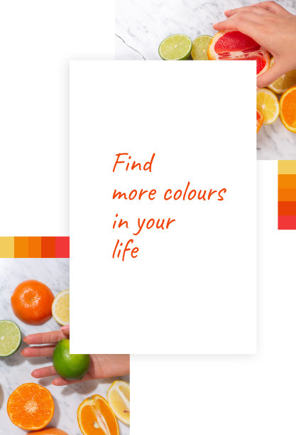 来自不同图片的柑橘类水果拼贴图片下载