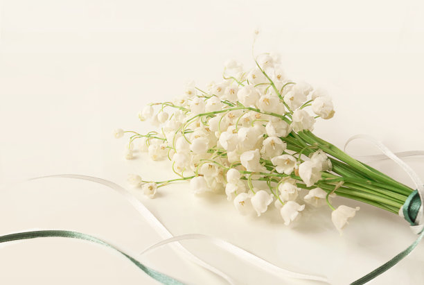 淡色背景上的铃兰。一束春天的花。有选择性的重点。图片下载