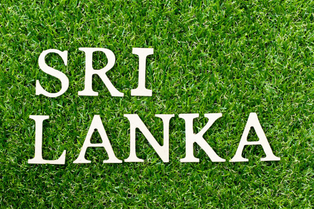 木字母表字母斯里兰卡在绿色的草的背景图片下载