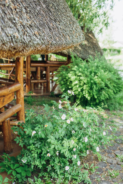 木屋河屋隔夜钓鱼乡村度假图片下载
